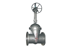 globe valve 18